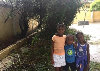 Haiti damaged trees